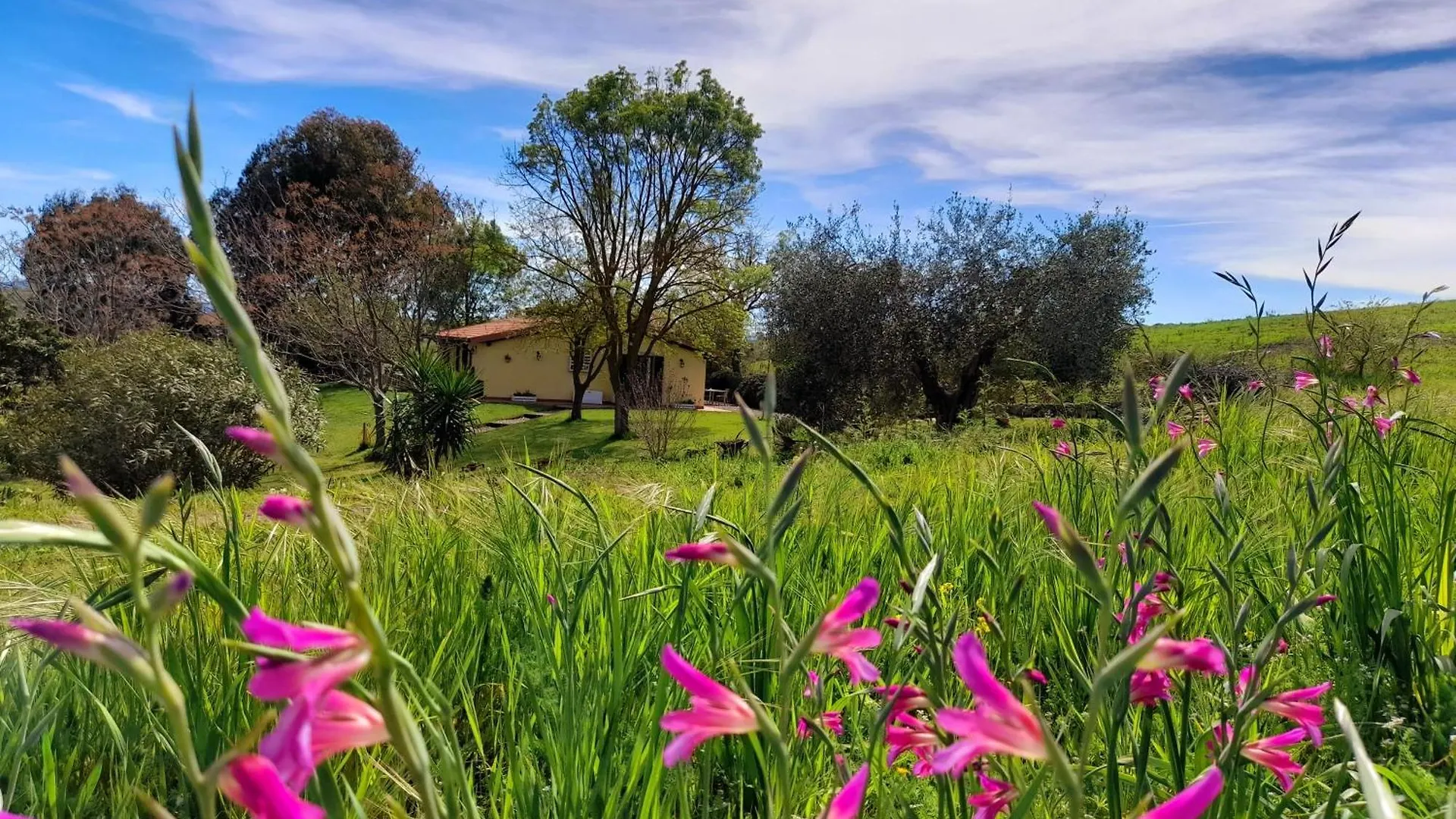 Farm stay Agriturismo La Sorgente Fonteblanda